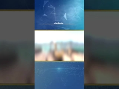 BVEM Vibro Compaction Piling hydraulic vibroflot excavator equipped sharing hydraulic power system